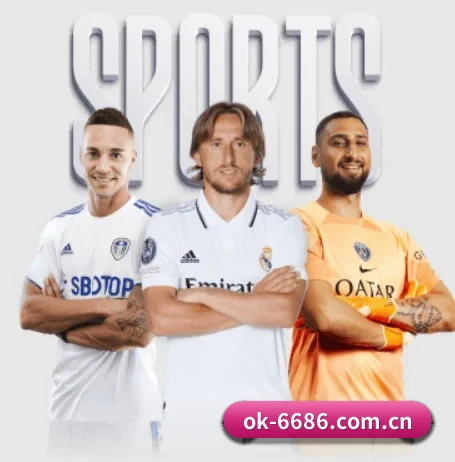 6686体育 APP